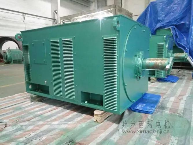 西瑪電機(jī)Y5603-10 560KW <a href=http://m.xianpintang.com/new/new-47-621.html target='_blank'><a href=http://m.xianpintang.com/new_tags_225.html target='_blank'>10kv高壓電機(jī)</a></a>